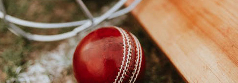 Tewkesbury kwik cricket festival