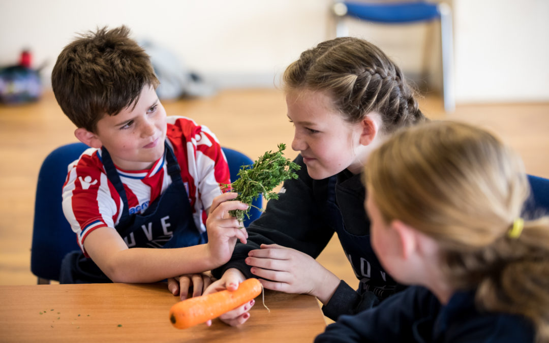 Healthy Families Workshop