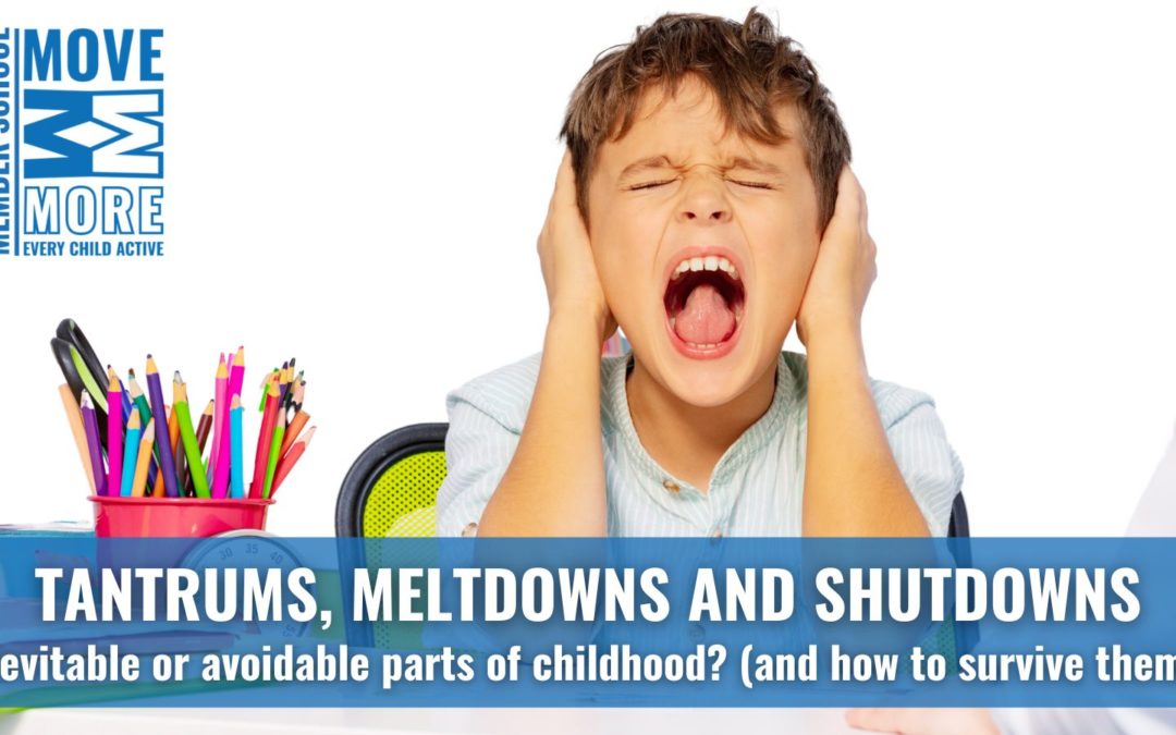Tantrums, Meltdowns & Shutdowns