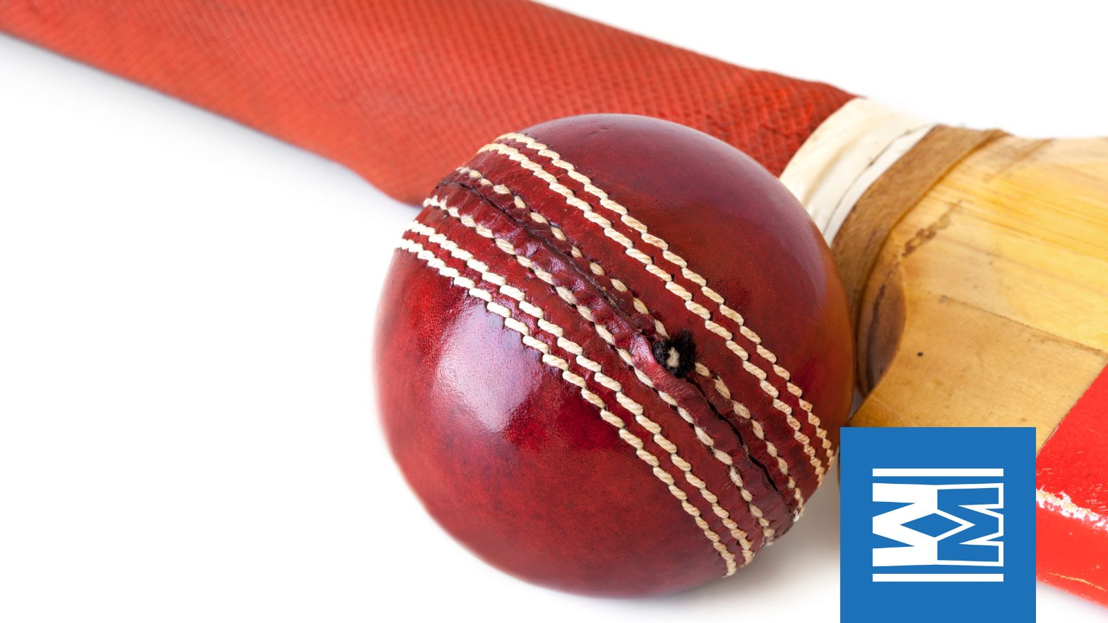 Move More Inclusive Indoor Non Stop Cricket Festival