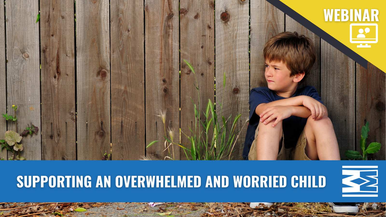 WEBINAR - Supporting an overwhelmed and worried child